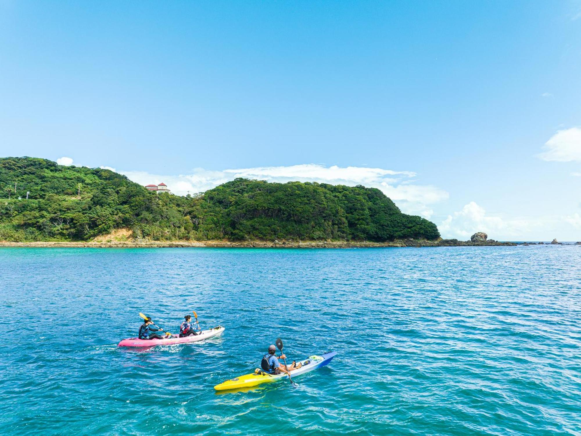 Shimoda Hotel 3*